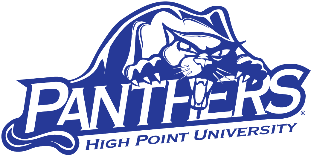High Point Panthers 2004-Pres Alternate Logo v3 iron on transfers for fabric